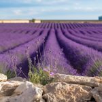 Top hidden gems to visit in France on your next holiday